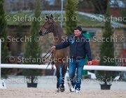 Zingaro Tosc Tour2013- S5 1612 : Arezzo, Cavalli d'Italia, Toscana Tour 2013, Zingaro, foto di Stefano Secchi ©